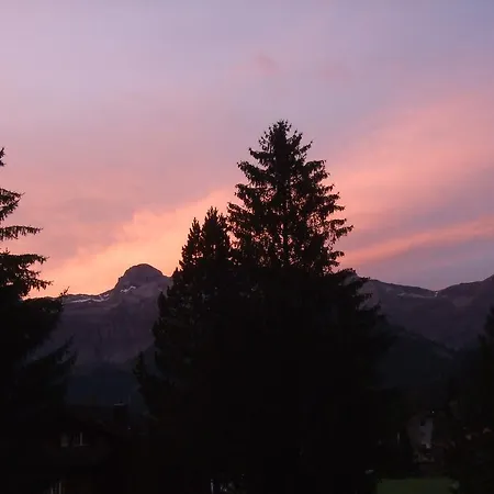 Alpenhotel Lenk