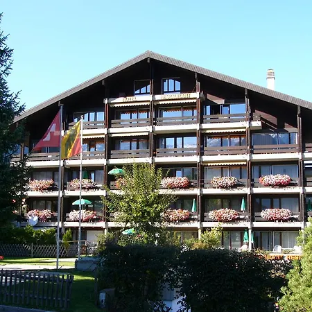 Hotel Alpenhotel Lenk