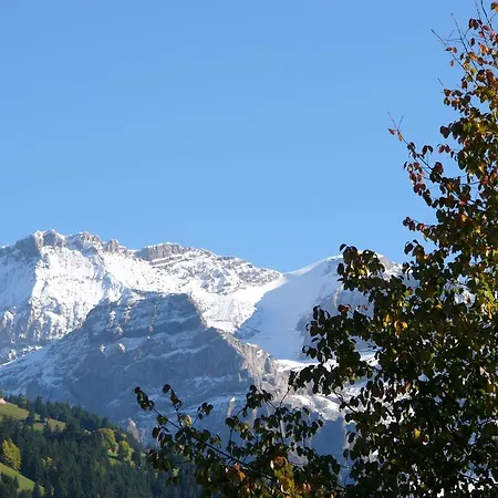 Alpenhotel 3* Lenk