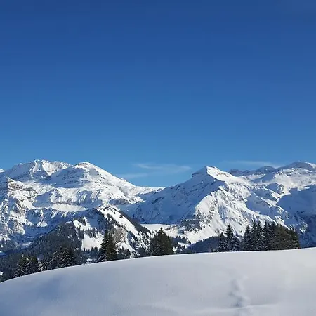 Hotel Alpenhotel Lenk