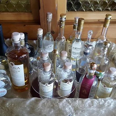 Отель Alpenhotel Ленк