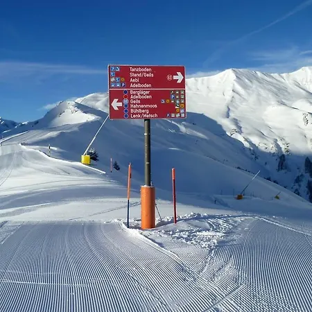 Alpenhotel Hotel Lenk