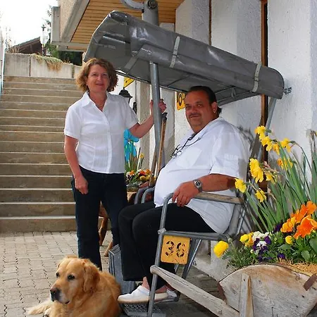Alpenhotel 3*