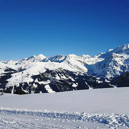 Alpenhotel