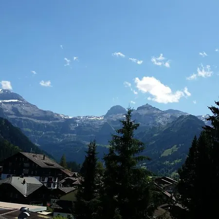 Alpenhotel Hotel 3*