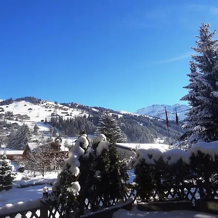 Alpenhotel Hotel 3*