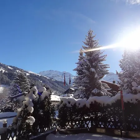 Alpenhotel 3*