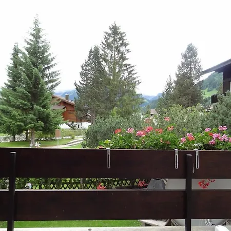 Ξενοδοχείο Alpenhotel Lenk