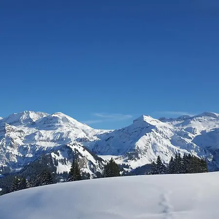 Ξενοδοχείο Alpenhotel Lenk