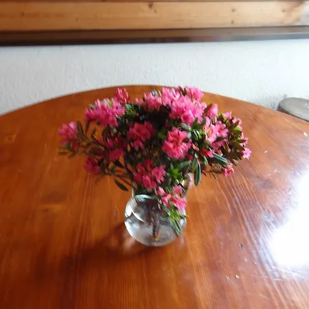 Ξενοδοχείο Alpenhotel