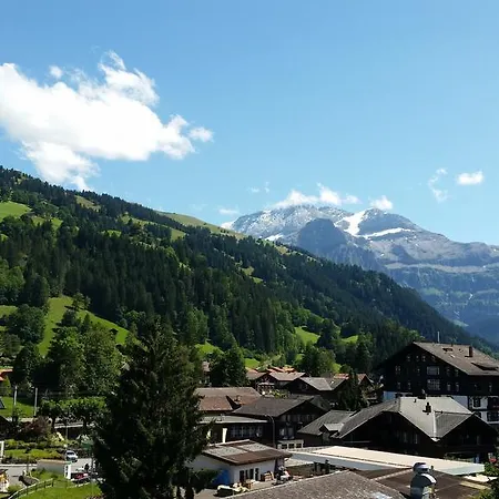 Ξενοδοχείο Alpenhotel Lenk
