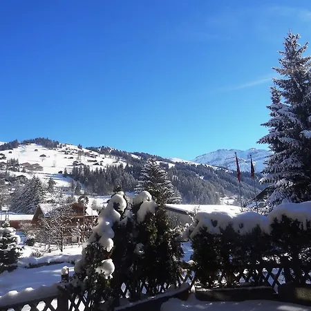 Alpenhotel Ξενοδοχείο 3*