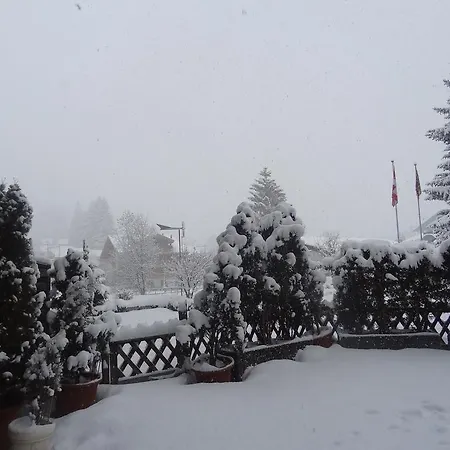 Ξενοδοχείο Alpenhotel Lenk