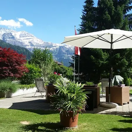 Ξενοδοχείο Alpenhotel Lenk