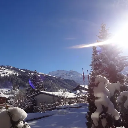 Alpenhotel Ξενοδοχείο 3*